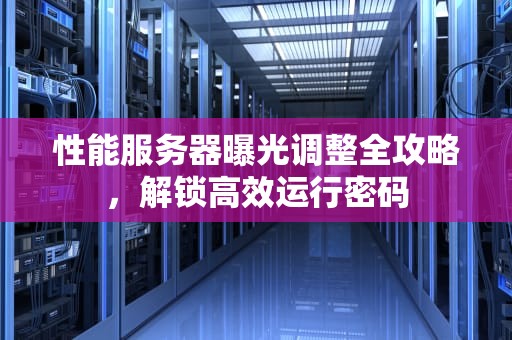 性能服务器曝光调整全攻略，解锁高效运行密码