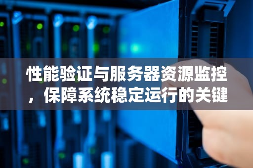 性能验证与服务器资源监控，保障系统稳定运行的关键
