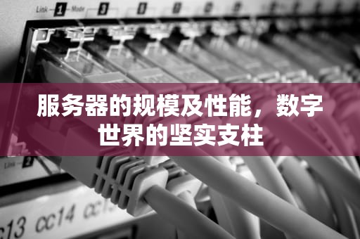 服务器的规模及性能，数字世界的坚实支柱