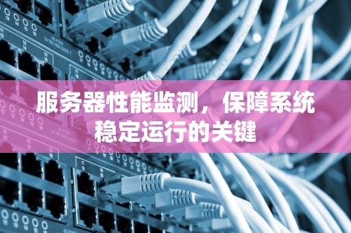 服务器性能监测，保障系统稳定运行的关键