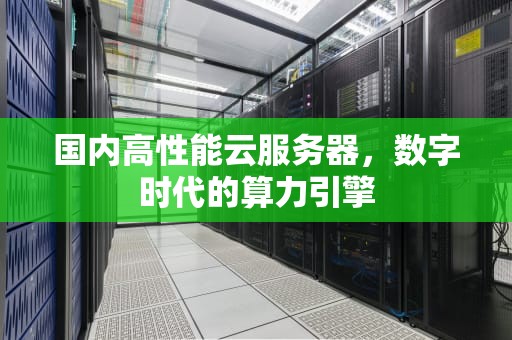 国内高性能云服务器，数字时代的算力引擎