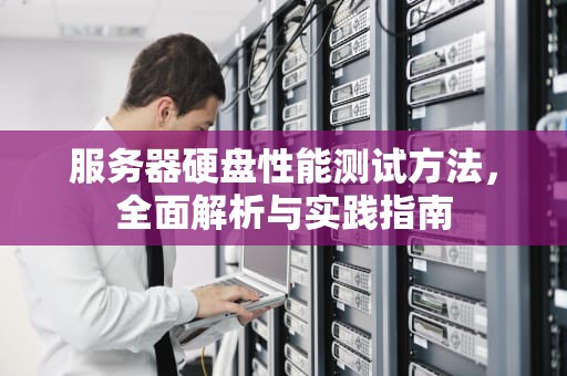 服务器硬盘性能测试方法，全面解析与实践指南