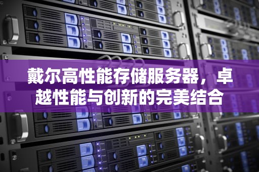 戴尔高性能存储服务器，卓越性能与创新的完美结合