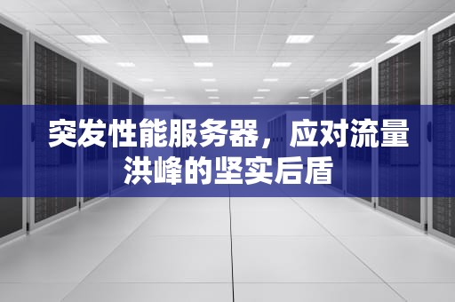 突发性能服务器，应对流量洪峰的坚实后盾