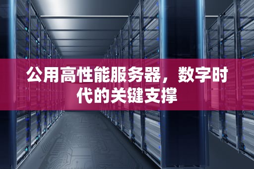 公用高性能服务器，数字时代的关键支撑