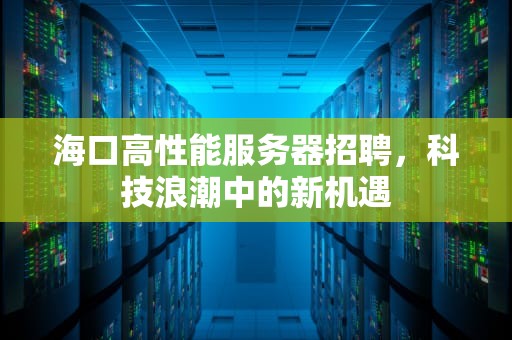 海口高性能服务器招聘，科技浪潮中的新机遇