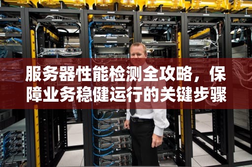 服务器性能检测全攻略，保障业务稳健运行的关键步骤