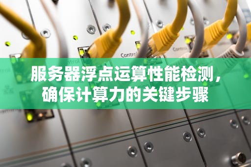 服务器浮点运算性能检测，确保计算力的关键步骤