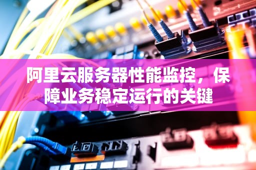 阿里云服务器性能监控，保障业务稳定运行的关键