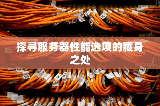 探寻服务器性能选项的藏身之处