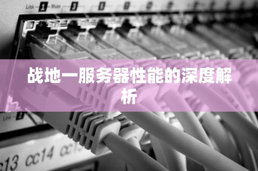 战地一服务器性能的深度解析