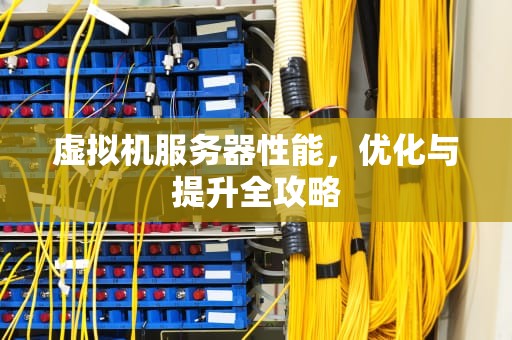 虚拟机服务器性能，优化与提升全攻略