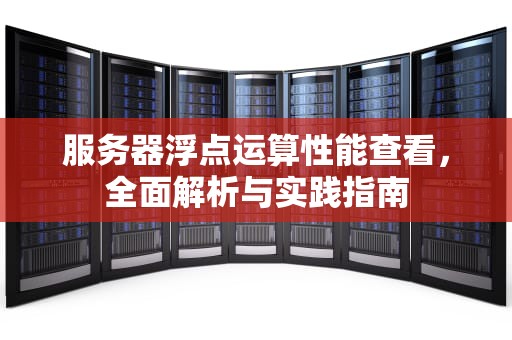 服务器浮点运算性能查看，全面解析与实践指南