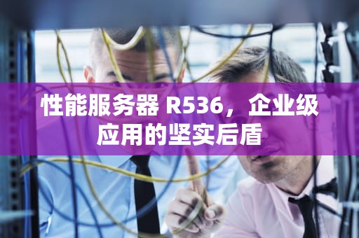 性能服务器 R536，企业级应用的坚实后盾