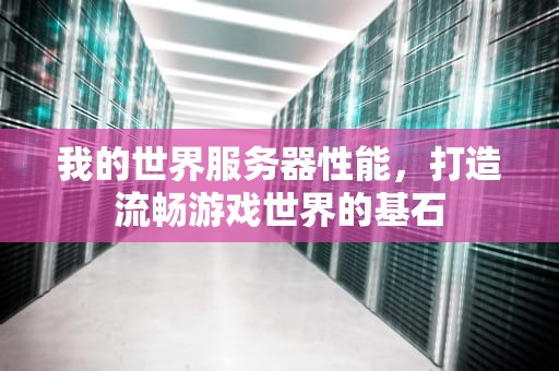 我的世界服务器性能，打造流畅游戏世界的基石