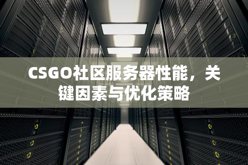 CSGO社区服务器性能，关键因素与优化策略