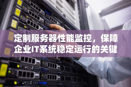 定制服务器性能监控，保障企业IT系统稳定运行的关键