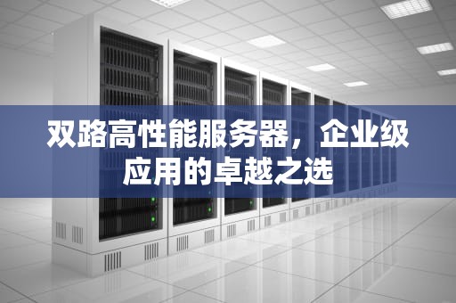 双路高性能服务器，企业级应用的卓越之选