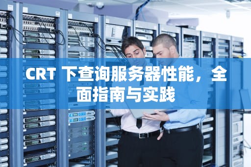CRT 下查询服务器性能，全面指南与实践