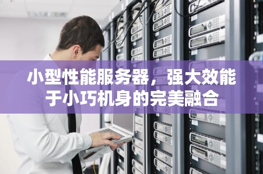 小型性能服务器，强大效能于小巧机身的完美融合