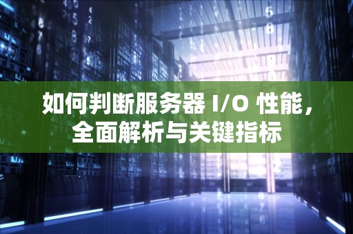 如何判断服务器 I/O 性能，全面解析与关键指标