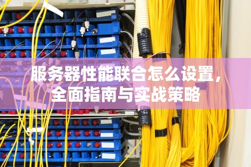 服务器性能联合怎么设置，全面指南与实战策略