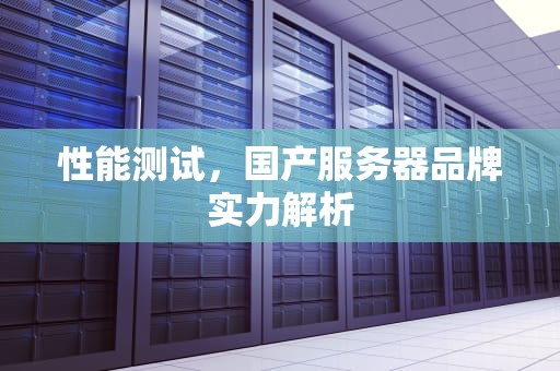 性能测试，国产服务器品牌实力解析