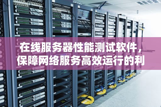 在线服务器性能测试软件，保障网络服务高效运行的利器