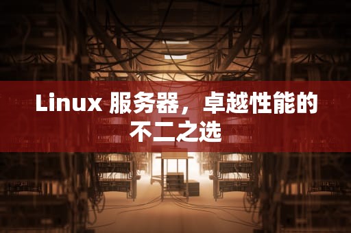 Linux 服务器，卓越性能的不二之选
