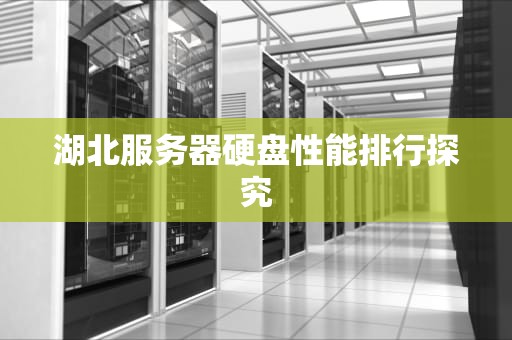 湖北服务器硬盘性能排行探究