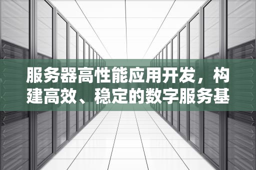 服务器高性能应用开发，构建高效、稳定的数字服务基石