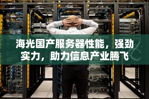 海光国产服务器性能，强劲实力，助力信息产业腾飞