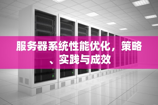 服务器系统性能优化，策略、实践与成效