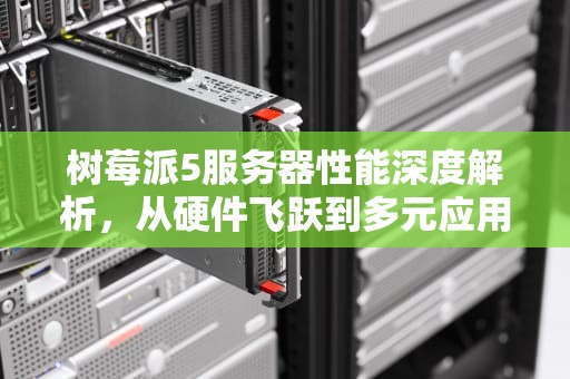 树莓派5服务器性能深度解析，从硬件飞跃到多元应用的全面评估
