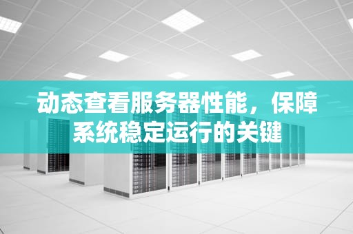 动态查看服务器性能，保障系统稳定运行的关键