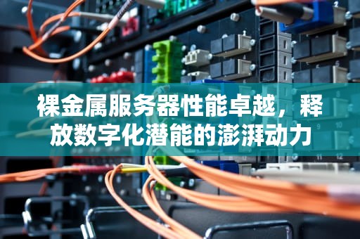 裸金属服务器性能卓越，释放数字化潜能的澎湃动力