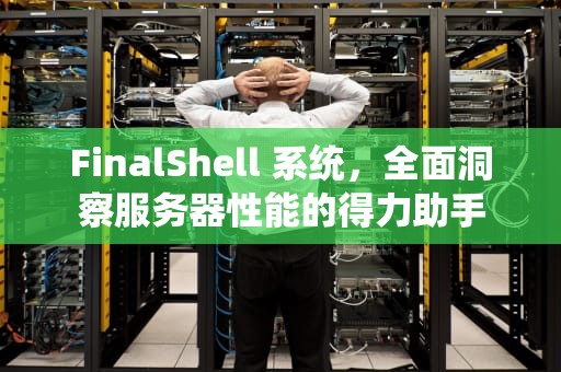 FinalShell 系统，全面洞察服务器性能的得力助手