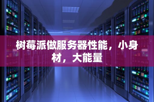树莓派做服务器性能，小身材，大能量