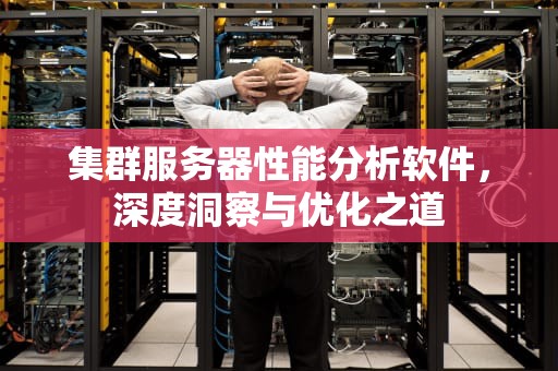 集群服务器性能分析软件，深度洞察与优化之道