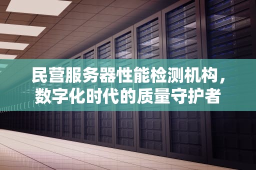 民营服务器性能检测机构，数字化时代的质量守护者