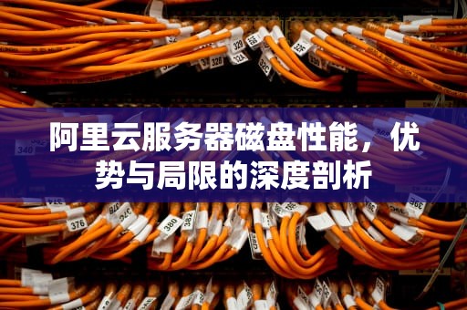 阿里云服务器磁盘性能，优势与局限的深度剖析