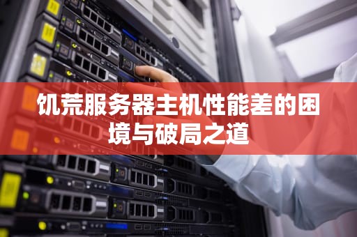饥荒服务器主机性能差的困境与破局之道
