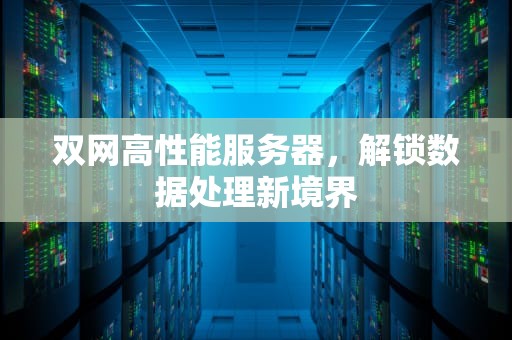 双网高性能服务器，解锁数据处理新境界