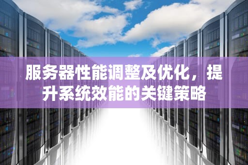 服务器性能调整及优化，提升系统效能的关键策略