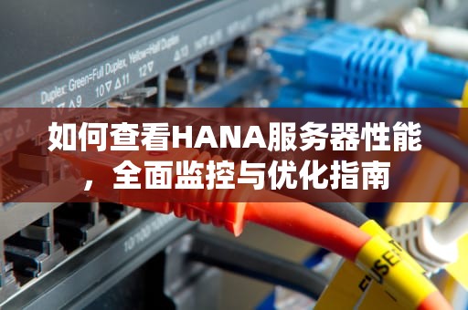 如何查看HANA服务器性能，全面监控与优化指南