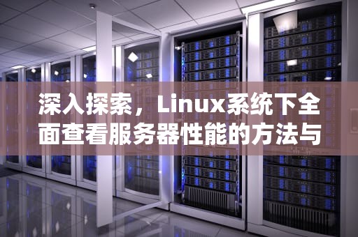 深入探索，Linux系统下全面查看服务器性能的方法与技巧