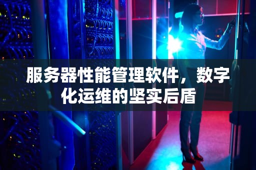 服务器性能管理软件，数字化运维的坚实后盾