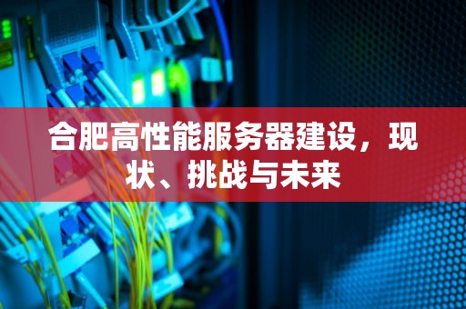 合肥高性能服务器建设，现状、挑战与未来