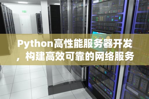 Python高性能服务器开发，构建高效可靠的网络服务