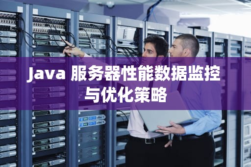 Java 服务器性能数据监控与优化策略